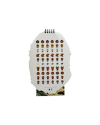 Bape 2023 Calendar