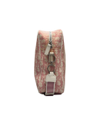 Chrisitan Dior Trotter Canvas Crossbody Bag Pink