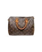 Louis Vuitton Monogram Speedy