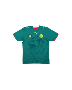 Puma Cameroon National Football Jersey 2006-2008 Green