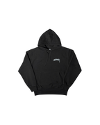 Stüssy Wingspan Hoodie Black