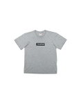 Supreme Futura Box Logo T-Shirt Grey