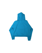 Systemic Polar Kira Hoodie Teal